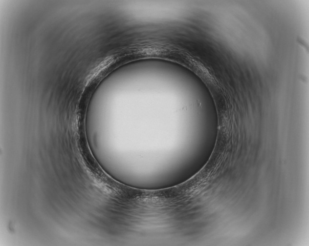 X0000096430730200802071725