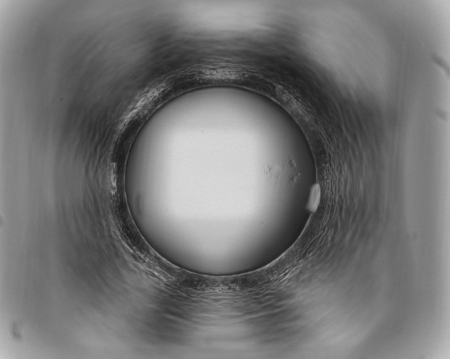 X0000096430731200802071725
