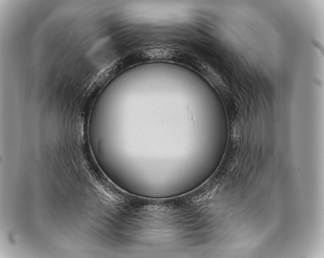 X0000096430733200802071725