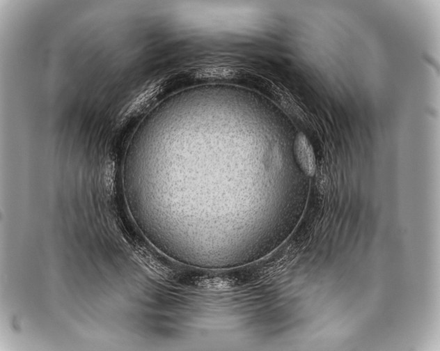 X0000096430735200802071725