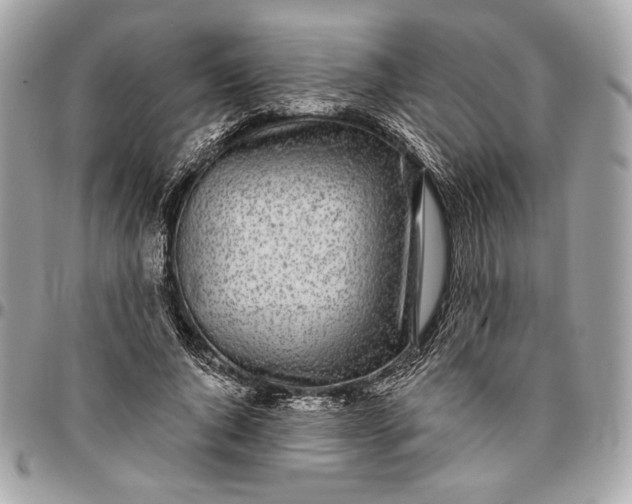 X0000096430736200802071725