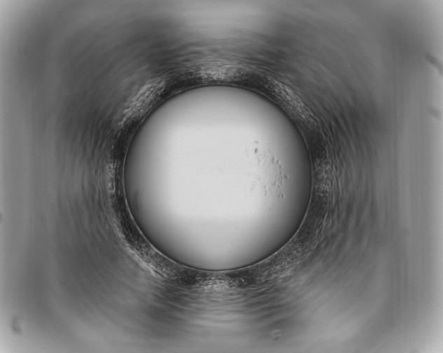 X0000096430738200802071725