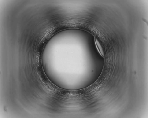 X0000096430739200802071725
