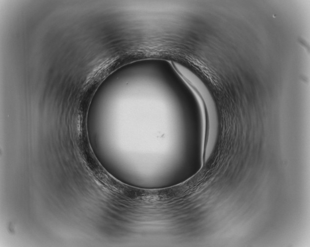 X0000096430740200802071725
