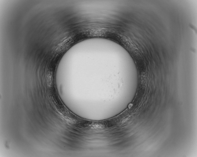 X0000096430741200802071725