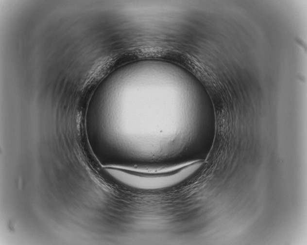 X0000096430742200802071725