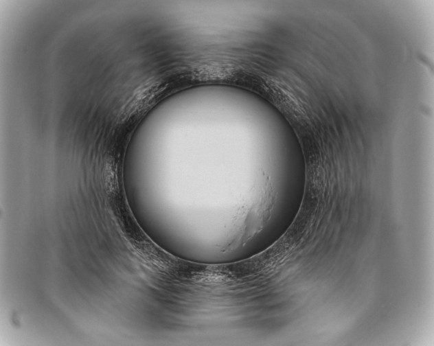 X0000096430743200802071725