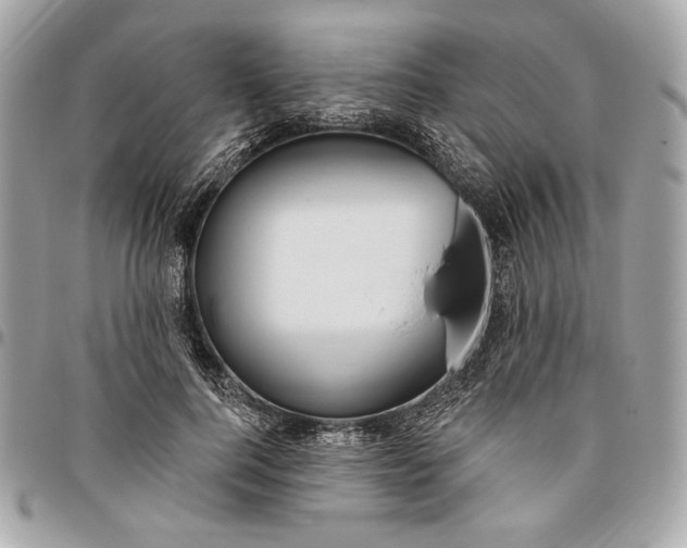 X0000096430744200802071725