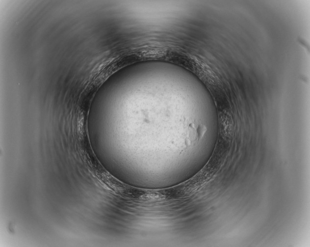 X0000096430745200802071725