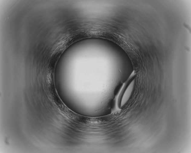 X0000096430746200802071725