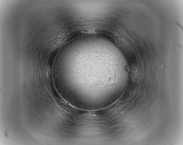 X0000096430747200802071725