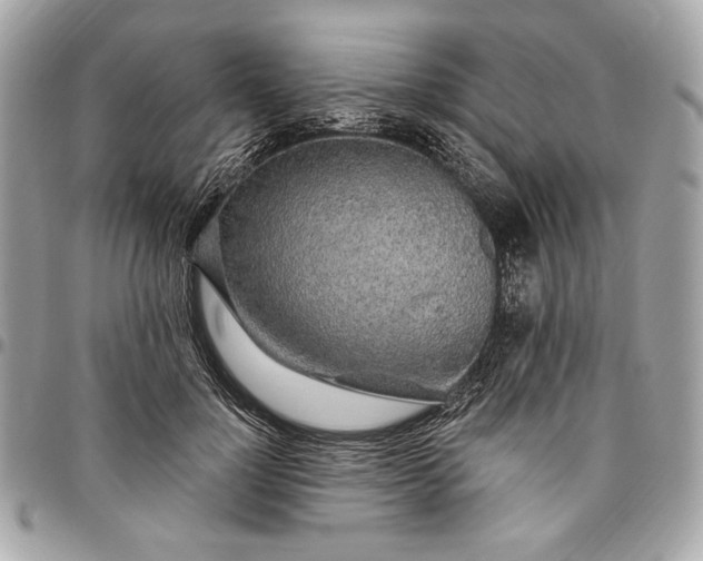X0000096430748200802071725