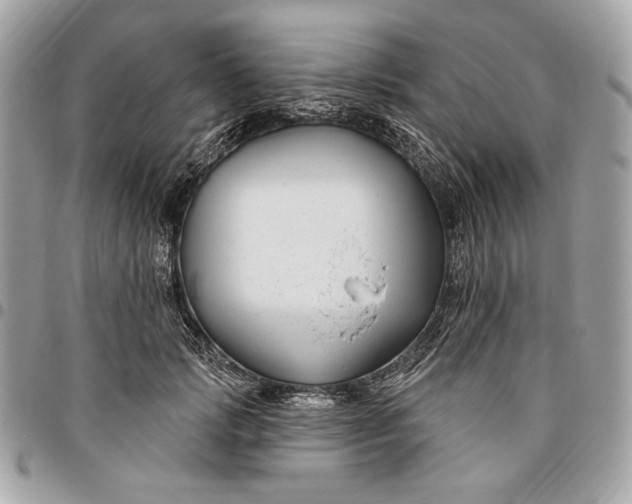 X0000096430749200802071725
