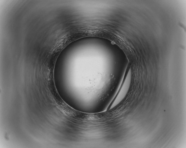 X0000096430750200802071725