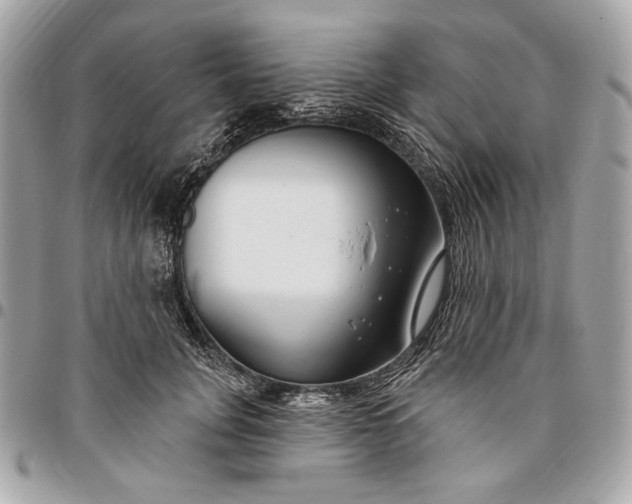 X0000096430751200802071725