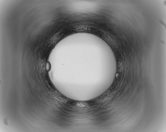 X0000096430753200802071725
