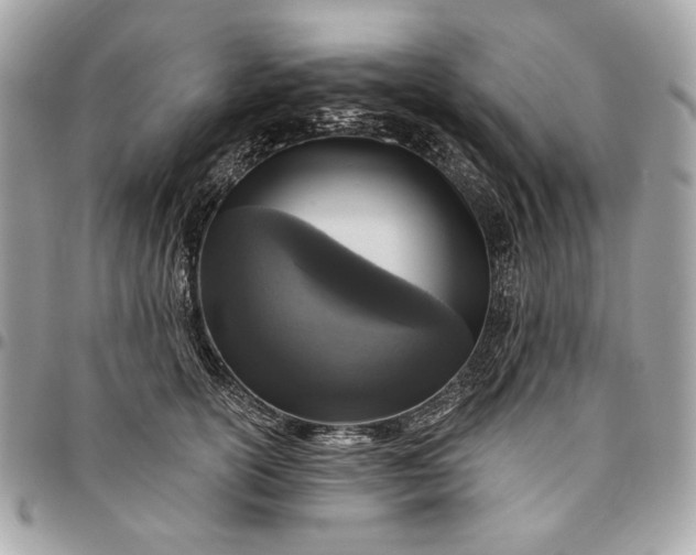 X0000096430754200802071725