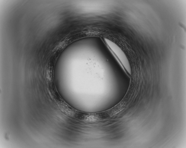 X0000096430755200802071725
