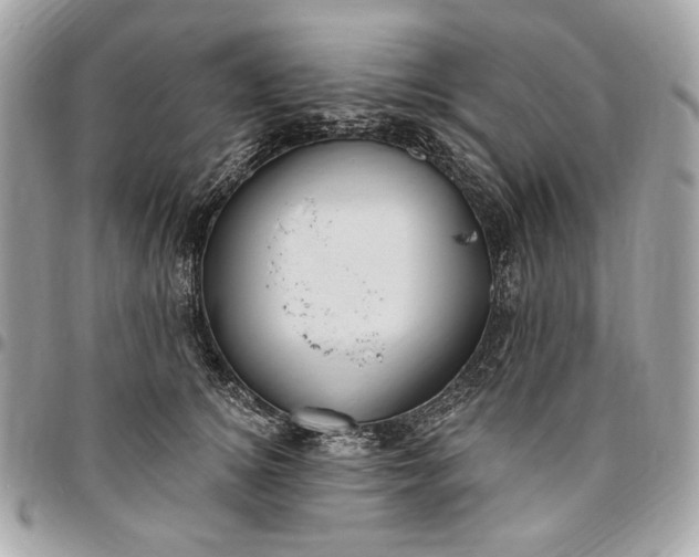 X0000096430756200802071725