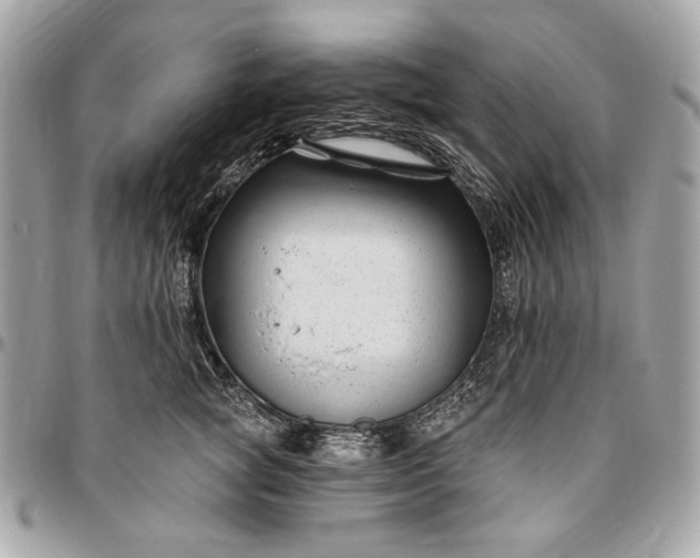 X0000096430757200802071725