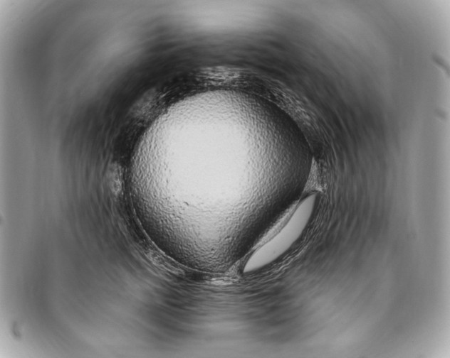 X0000096430758200802071725