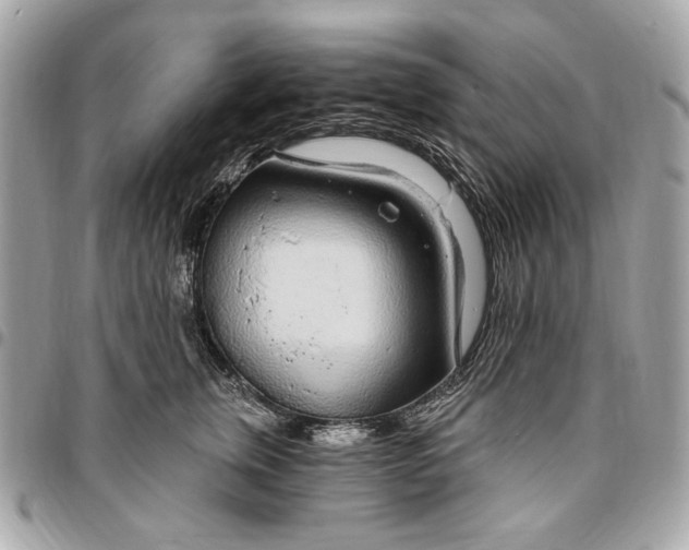 X0000096430759200802071725