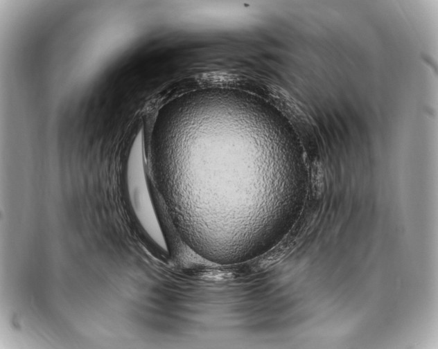 X0000096430760200802071725