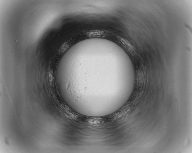 X0000096430761200802071725