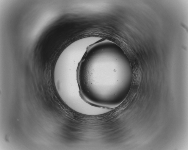 X0000096430762200802071725