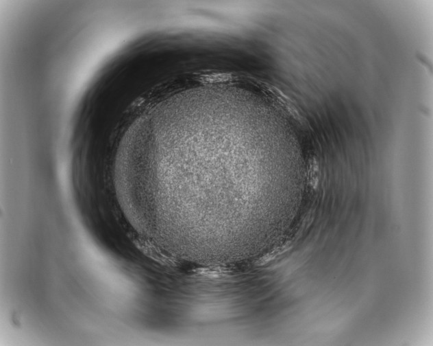 X0000096430763200802071725