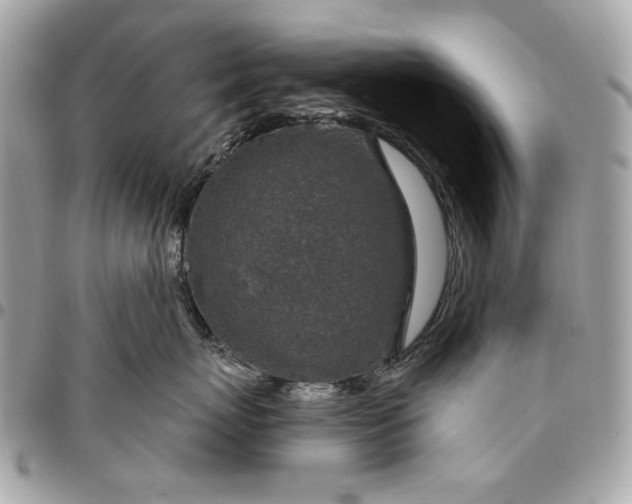 X0000096430767200802071725