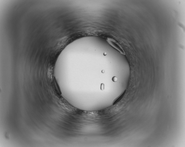 X0000096430768200802071725