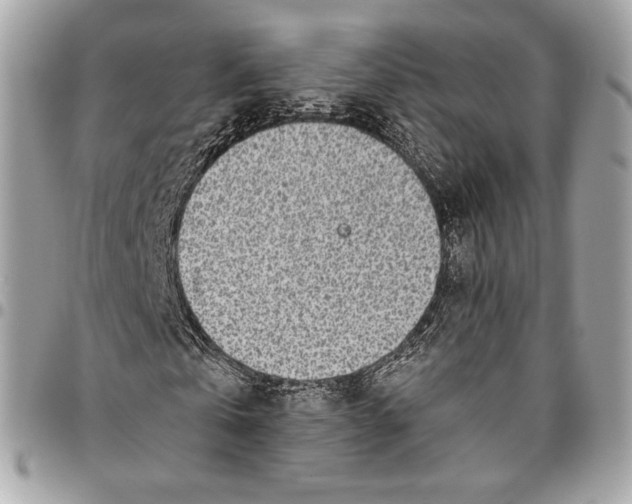 X0000096430769200802071725