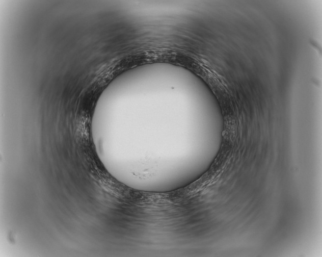 X0000096430770200802071725