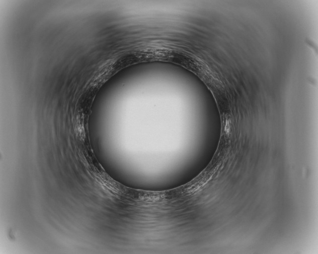 X0000096430771200802071724