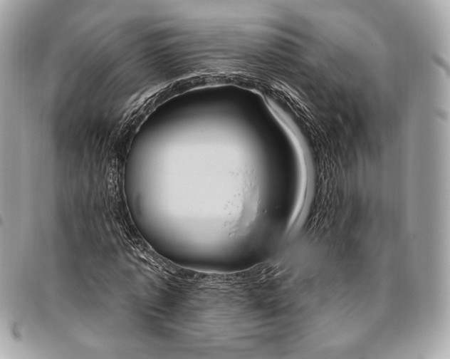 X0000096430773200802071724