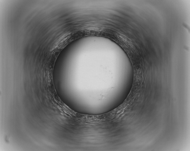 X0000096430774200802071724