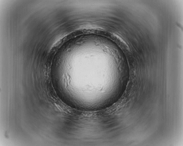X0000096430775200802071724