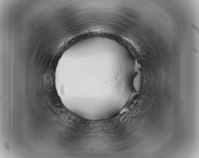 X0000096430776200802071724