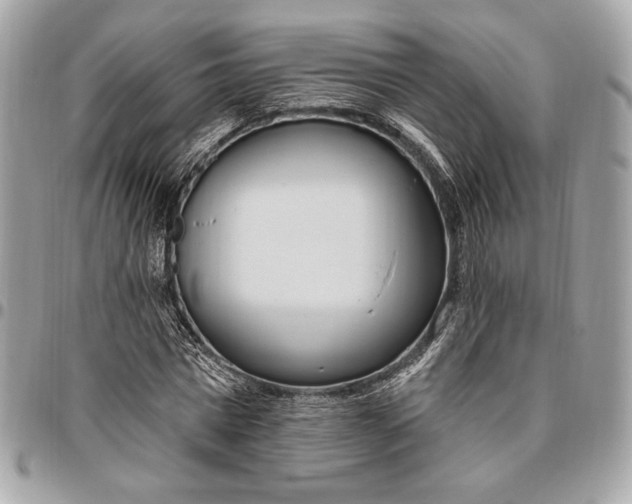 X0000096430777200802071724