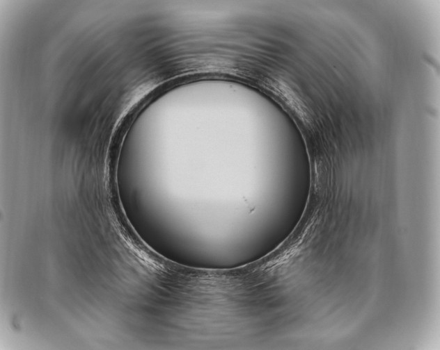X0000096430780200802071724