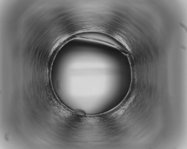 X0000096430781200802071724