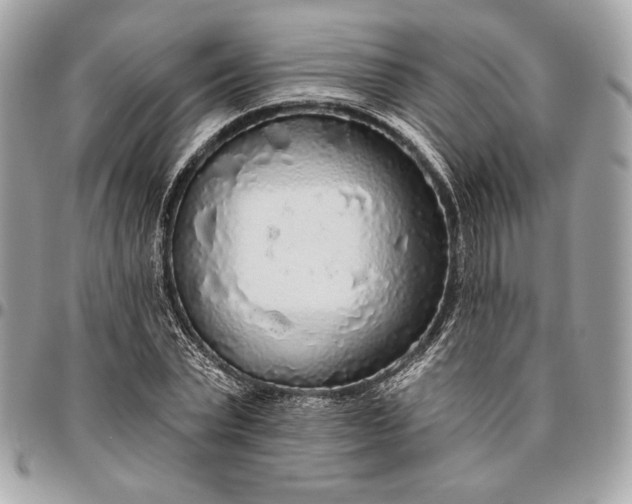 X0000096430783200802071724