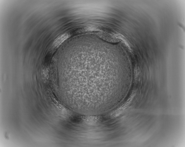 X0000096430785200802071724