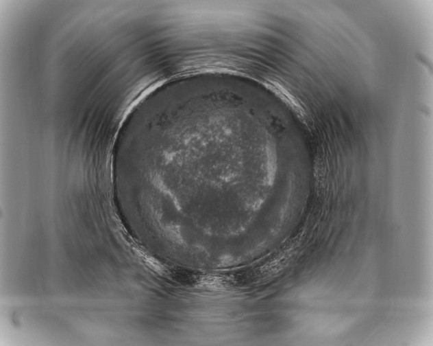 X0000096430790200802071724