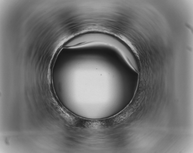 X0000096430791200802071724