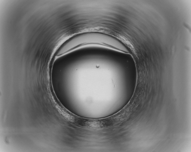 X0000096430792200802071724