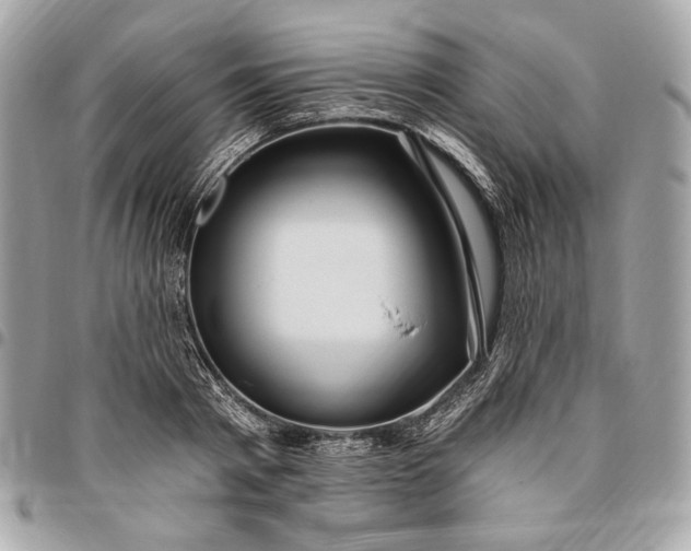 X0000096430793200802071724