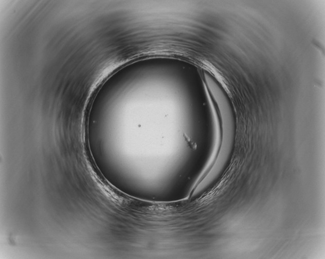 X0000096430795200802071724