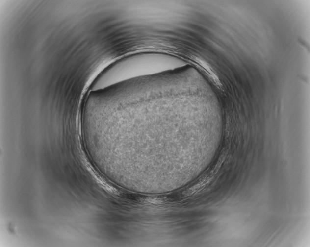 X0000096430796200802071724
